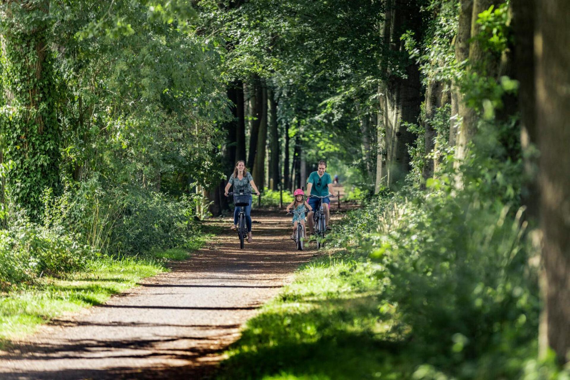 Forgatz' Zomerhuisje