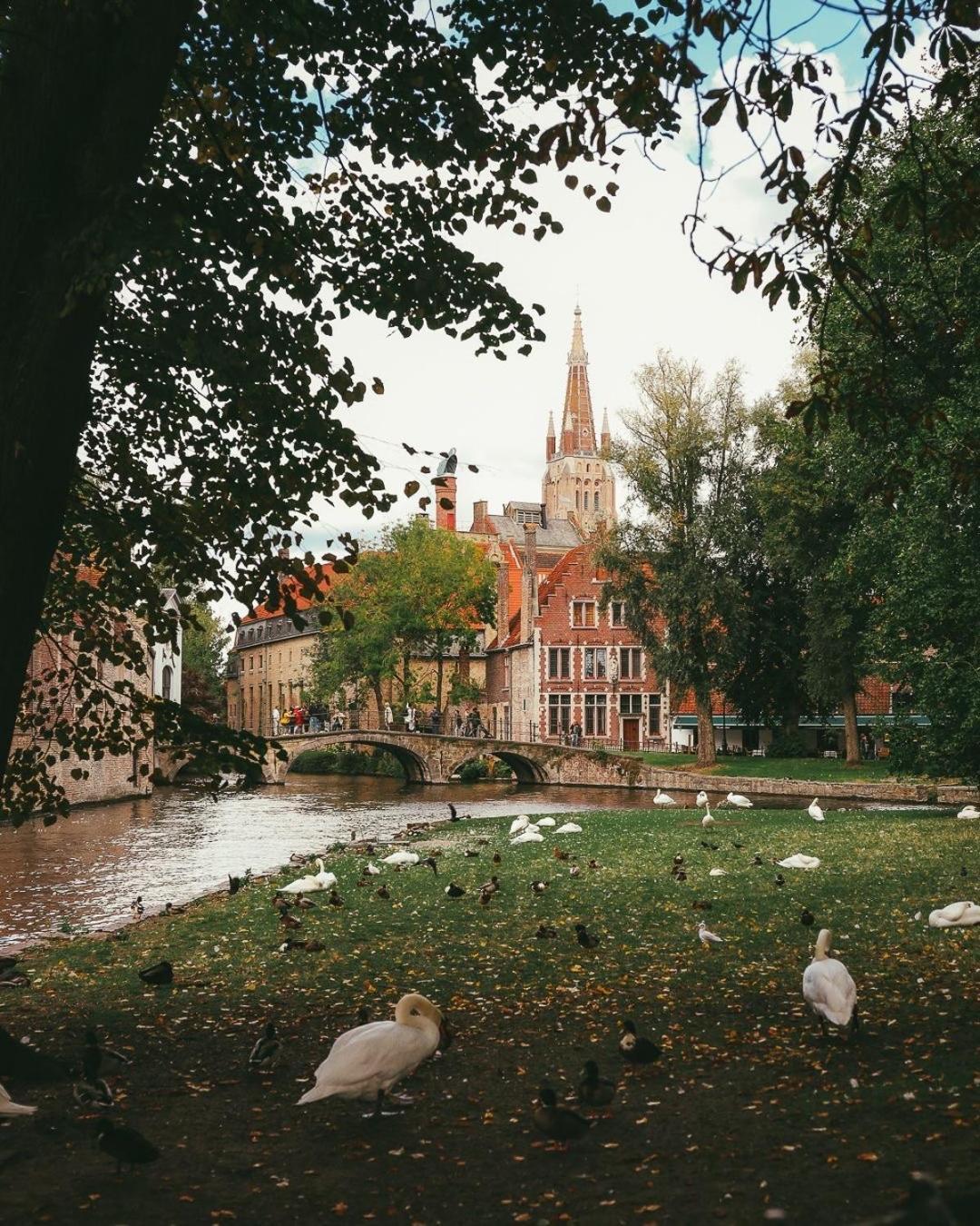 Forgatz' Zomerhuisje Brügge